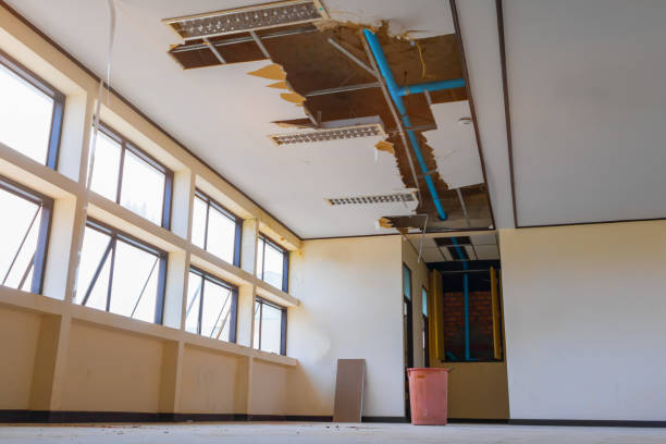 Best Water damage restoration near me  in Arroyo Grande, CA