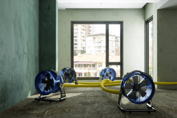 Best Mold removal after water damage  in Arroyo Grande, CA