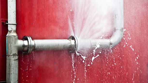 Best Water damage contractors near me  in Arroyo Grande, CA